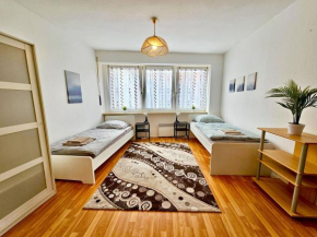 Work & Stay Apartment in Biebelnheim